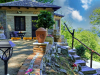 The mushroom cottage